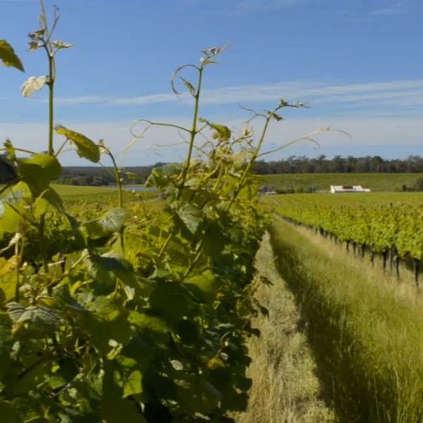 Birdwood_Motel_-_Adelaide_Hills_Accomodation