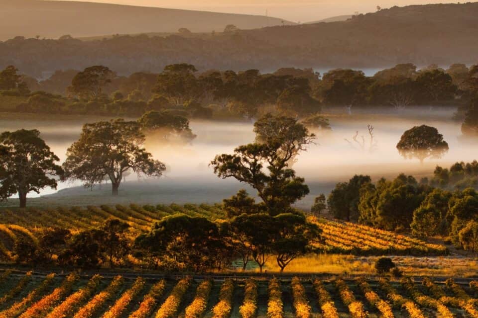 Explore Birdwood - Birdwood Motel